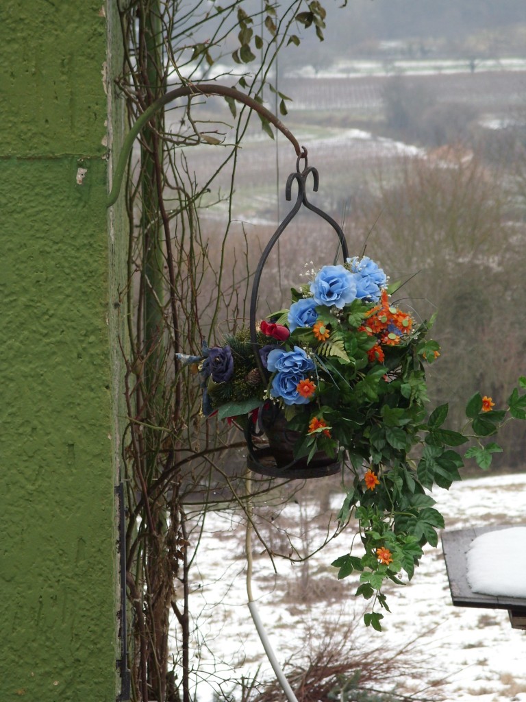 Blühendes Plastik an verlassem Haus in Februarlandschaft - ein interessanter Geschmack
