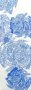 003-BlueClouds.png.small.jpeg