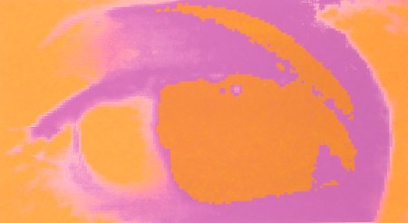 009-Elvirasauge3.png.medium.jpeg